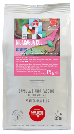 Nicaragua COE Pascucci Kapsler